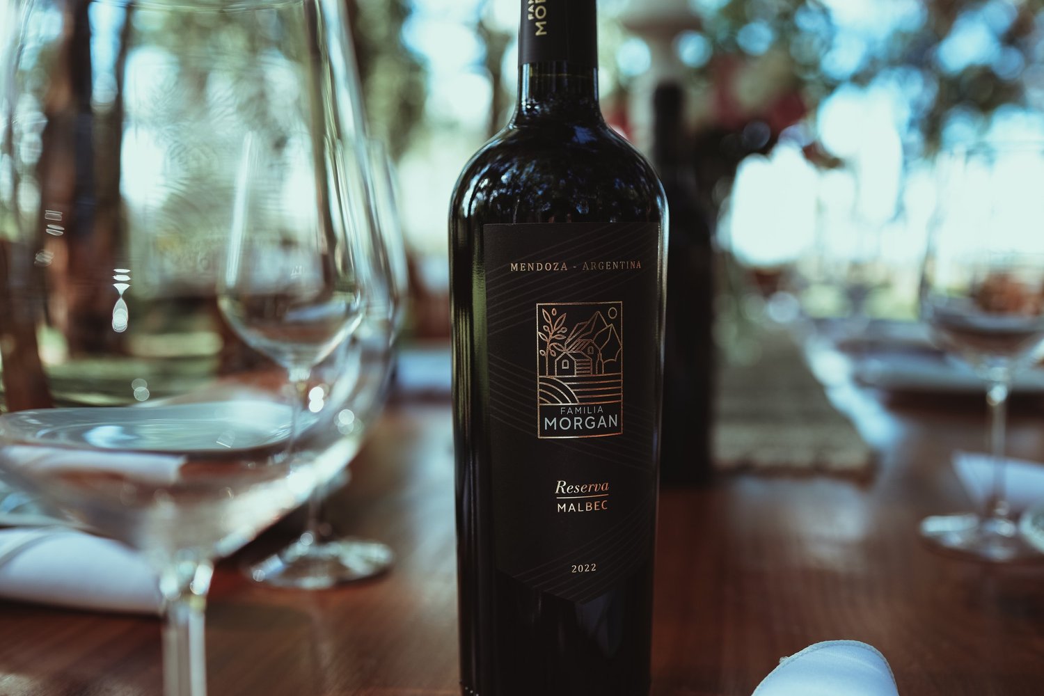 Premios y reconocimiento