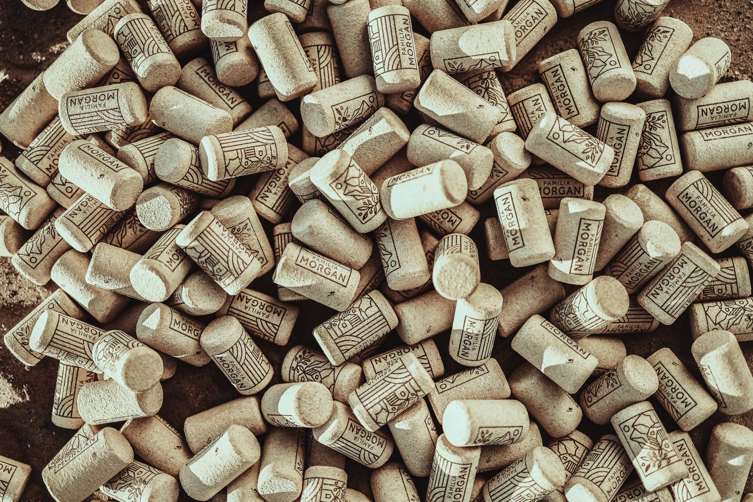 Atardecer en la finca Familia Morgan